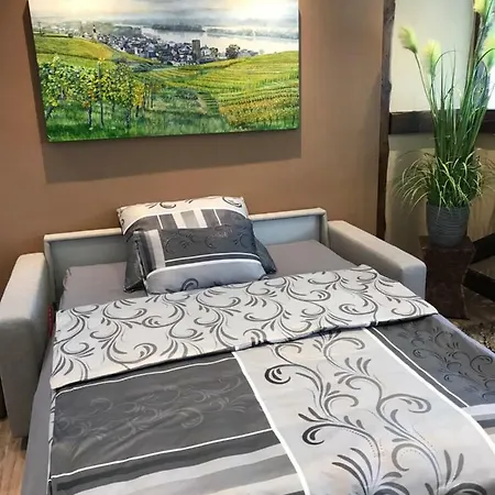 Ruedesheimer Wohlfuehloase Apartament Rüdesheim nad Renem