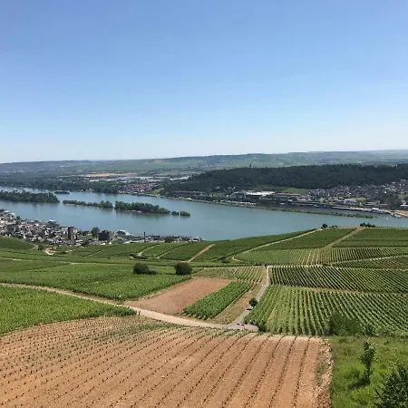 Apartment Ruedesheimer Wohlfuehloase Ruedesheim am Rhein