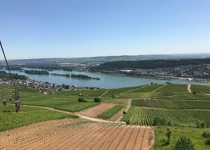 Lejlighed Ruedesheimer Wohlfuehloase Rüdesheim am Rhein